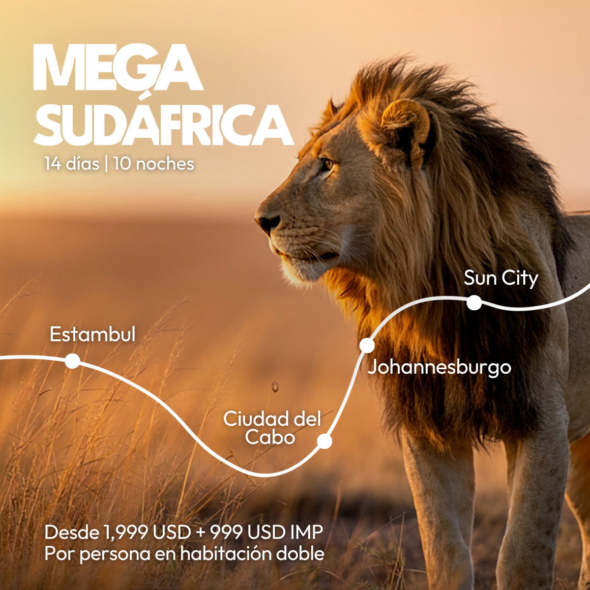 32063-mega-sudafrica-e5b810b3-4a26-42a3-b46f-4232e3d31c5e